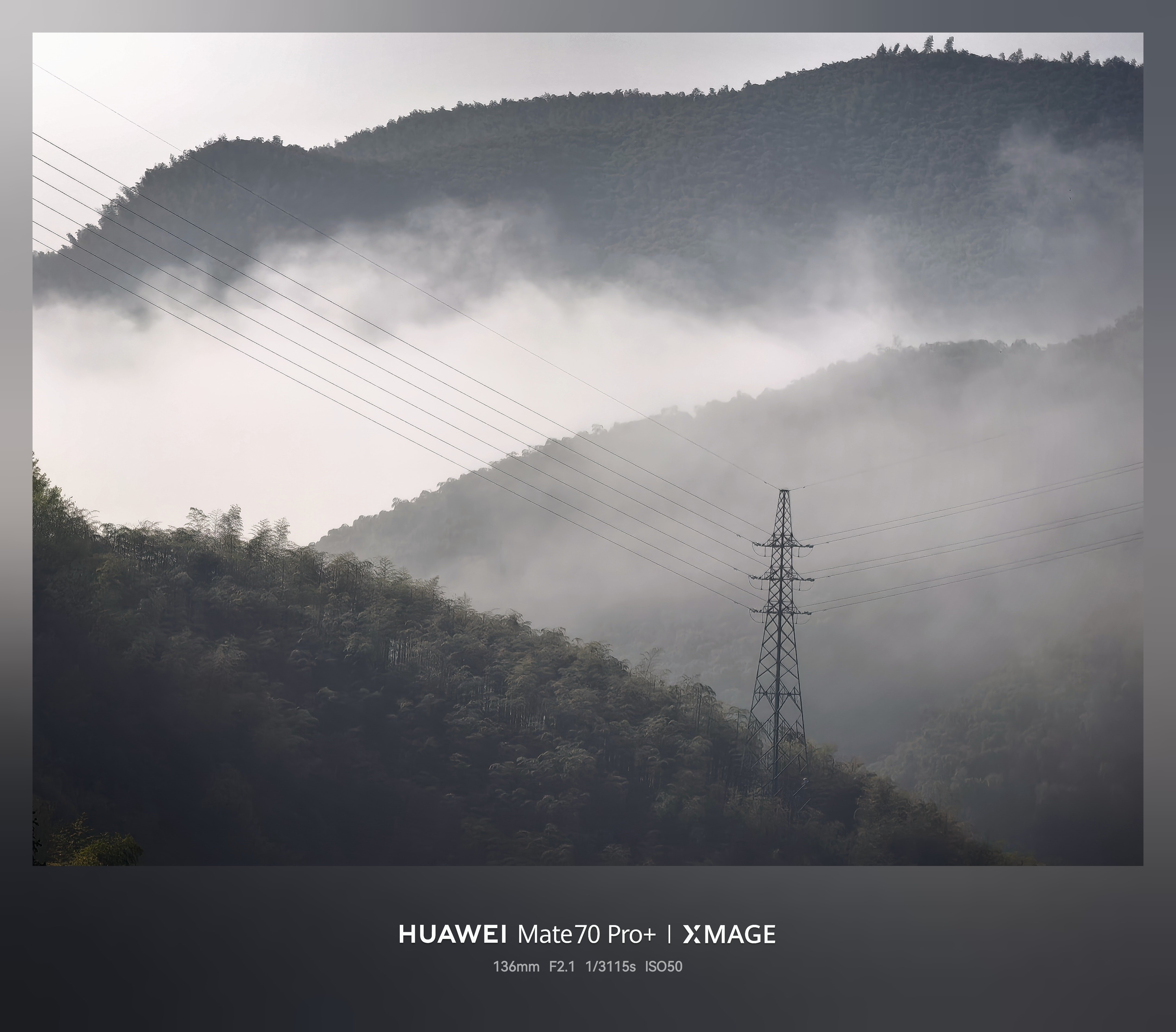 早早早～ 清早竹林可以听到各种野生动物叫声，晨雾飘荡在山间，站在窗户上那一刻竹香