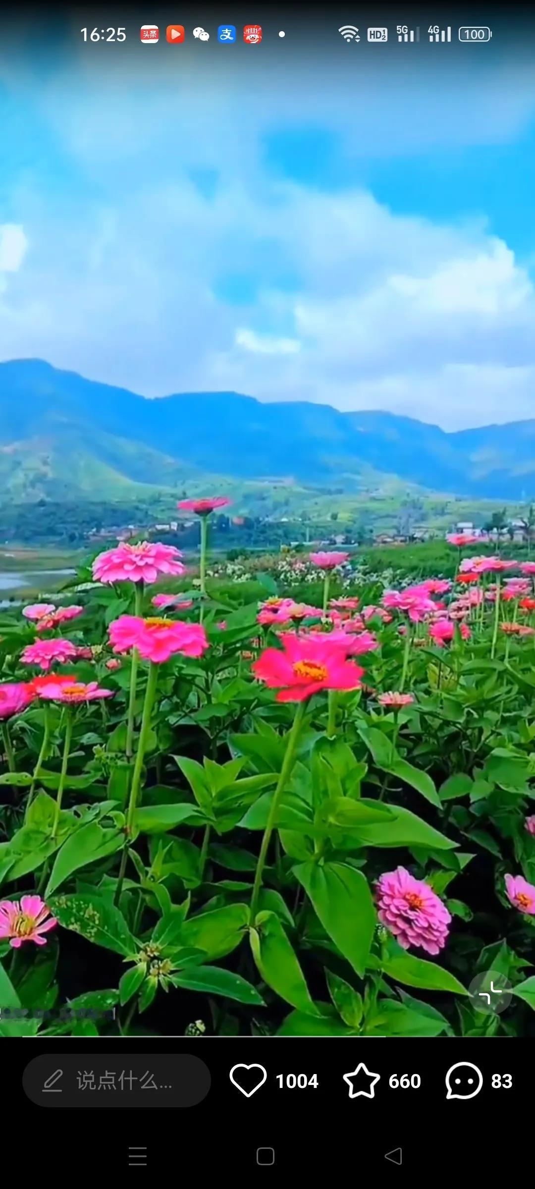 花草虽美，但花期太短。#手机记录花的美# #手机随拍花朵美# #花美景分享# #