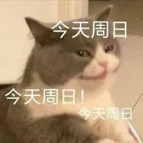 想退休了。一组周日表情包，拿图DD[泪] ​​​