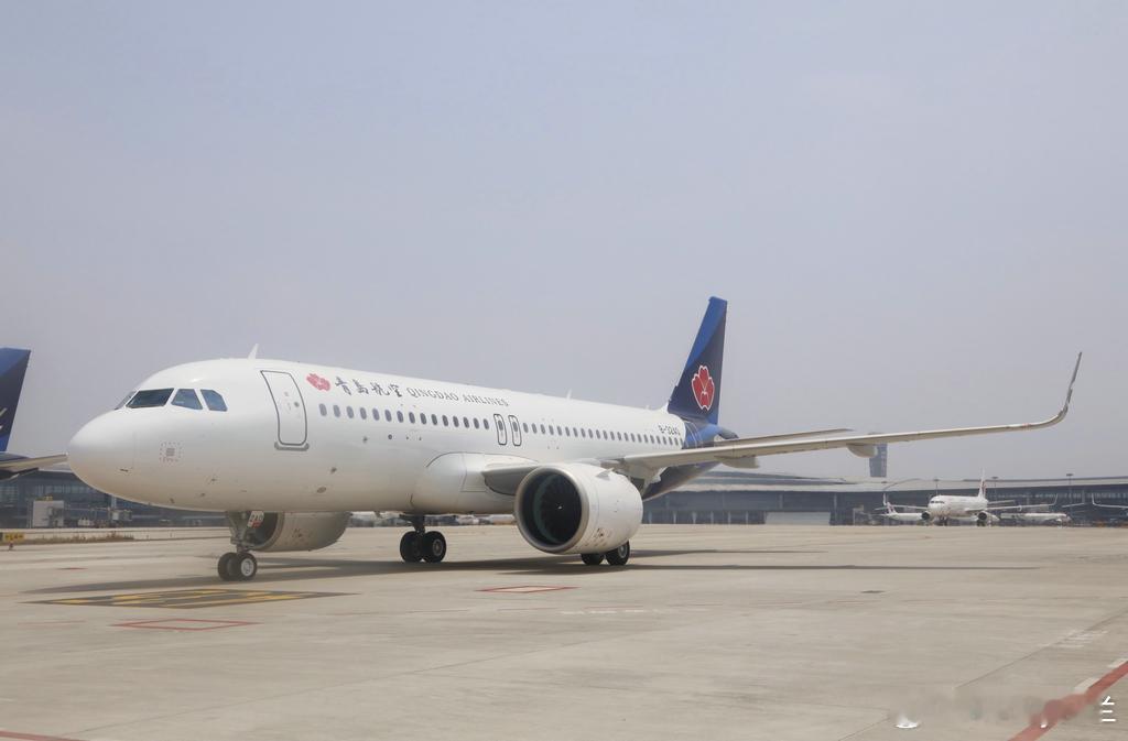 青岛对韩航网再升级！8月27日起，青岛航空恢复青岛直飞韩国清州航线，每周四、周日