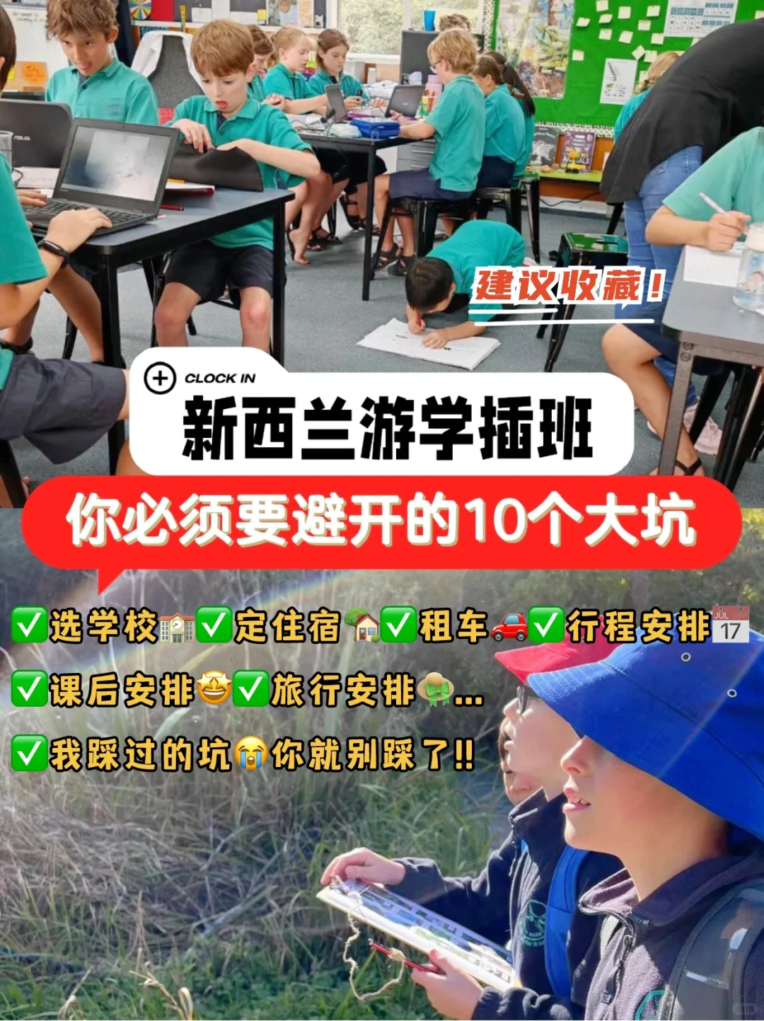 新西兰插班，你必须要避的十大坑