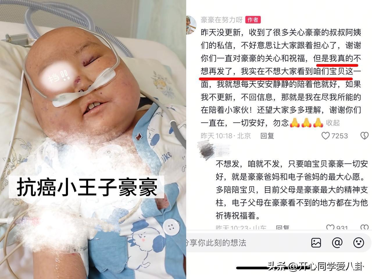 今天是豪豪放弃治疗的第14天，很遗憾的是，他以后可能都不会再更新了。
不是没有内