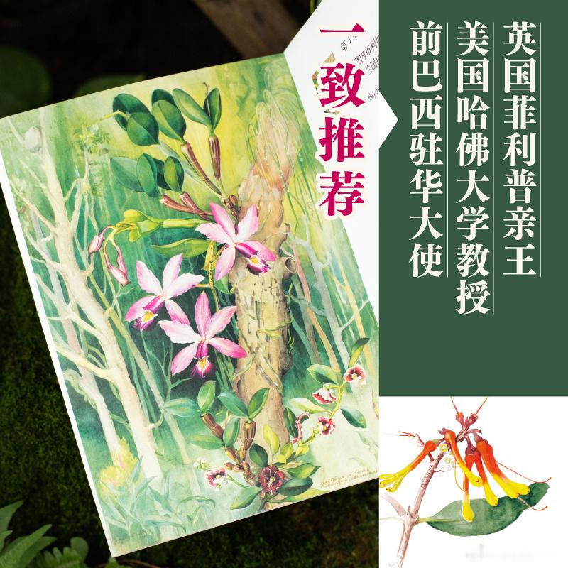 文学汇 博物丨站在棚屋门口，可以看到宽阔的河道，河流两岸是连绵不绝的森林，再远些