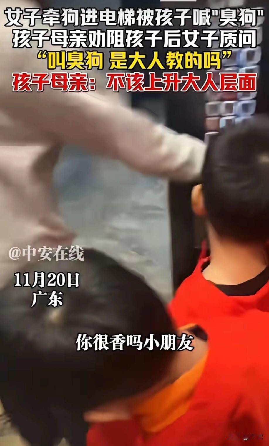 电梯门开，女子牵狗而入，孩子随后踏入，脱口一句“臭狗”。孩子母亲即刻轻声劝阻：“