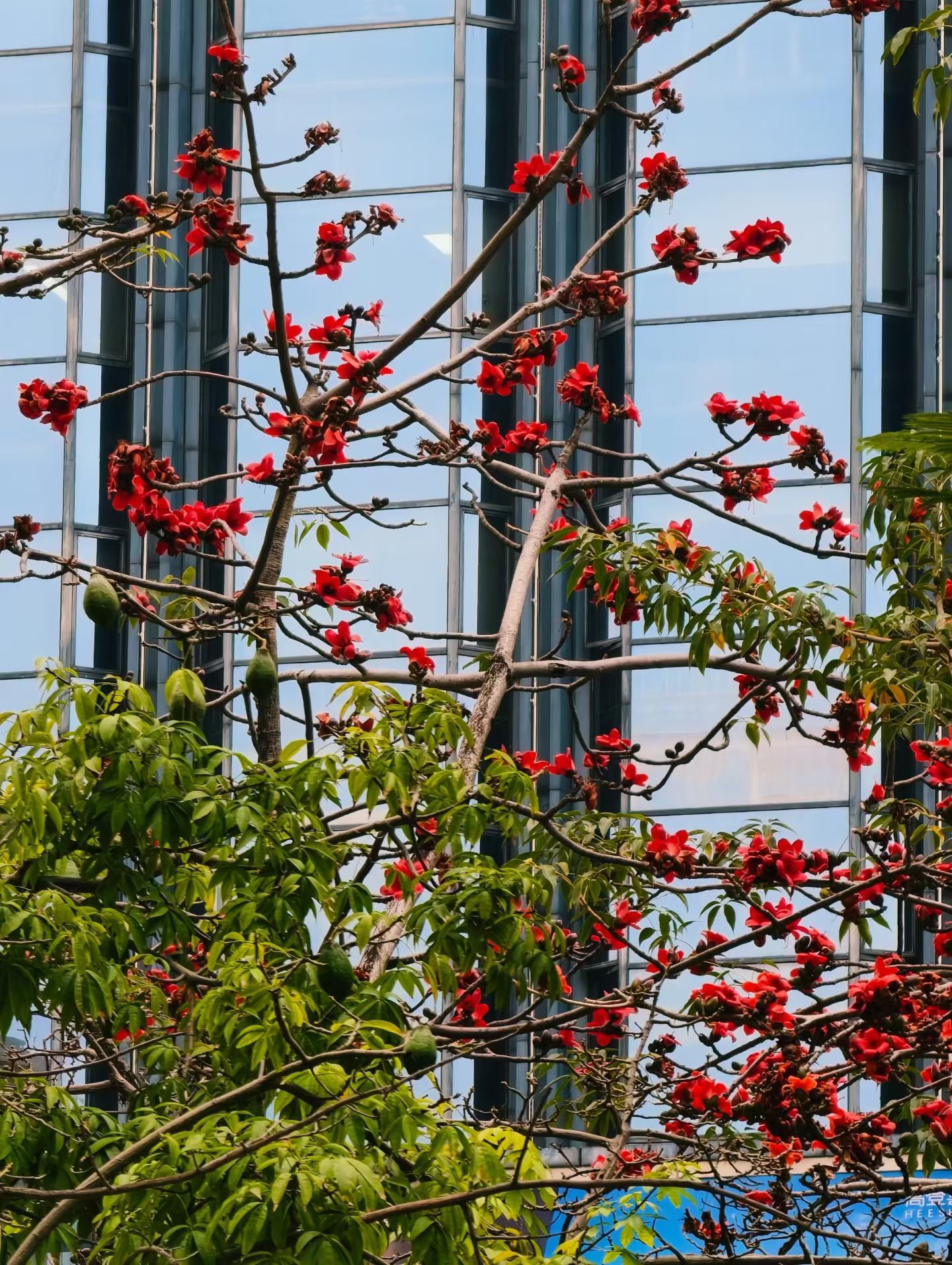 年，就这样在忙碌与不经意间过完了，悄然而至，又悄然离去，平淡得像一个普通的周末，