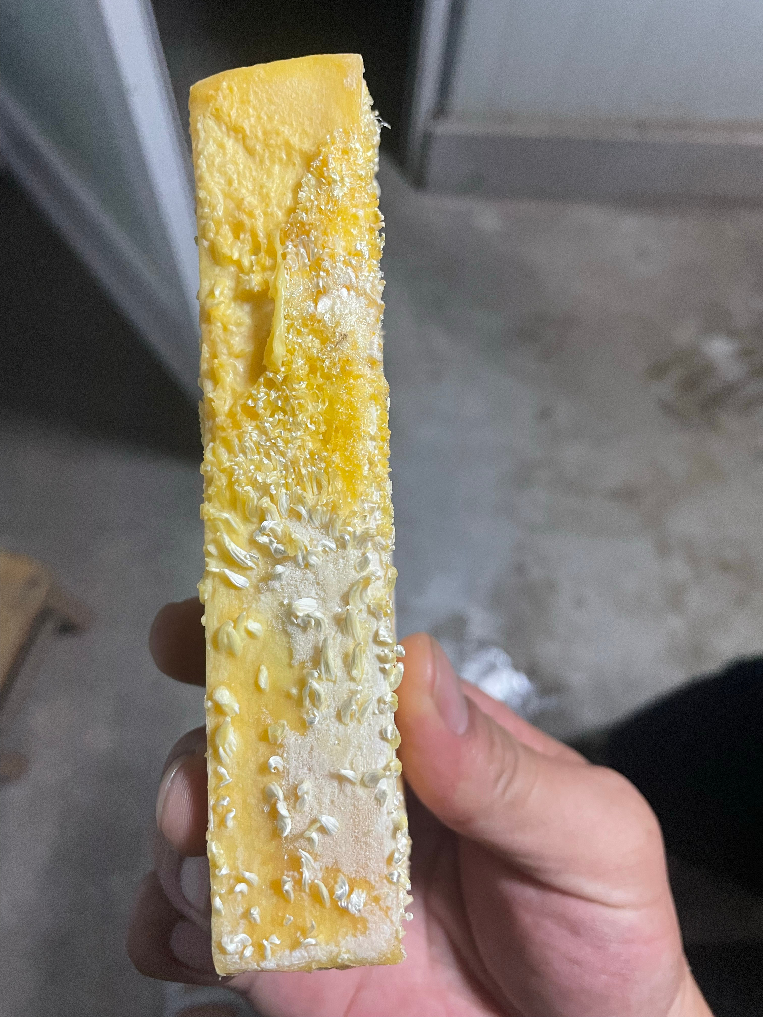 这块肥皂看起来好像自己成长了呢 ​​​