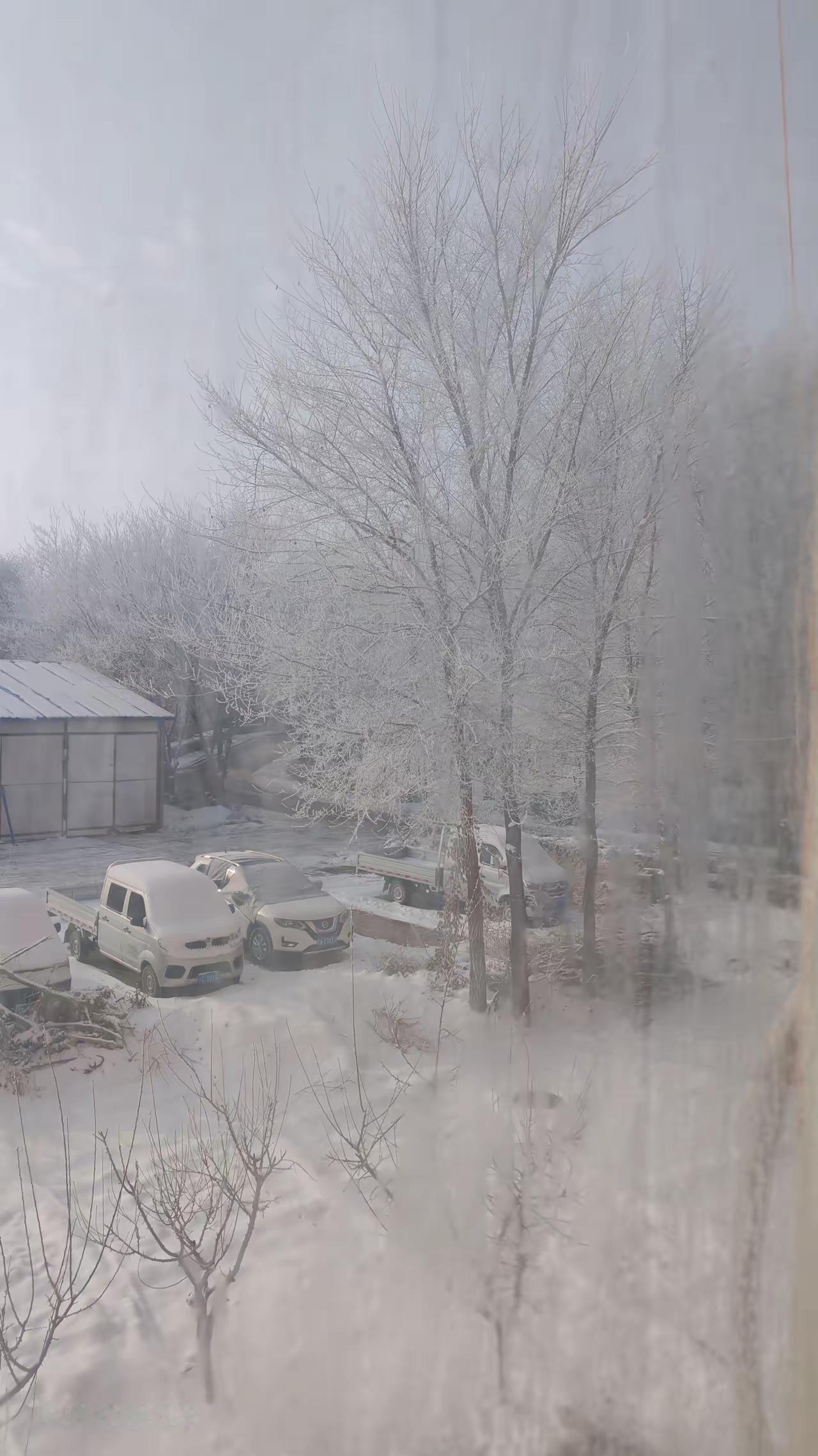 我是不是心理有问题了。我是1963年的，今年63岁。从年轻的时候，我就不善言辞，