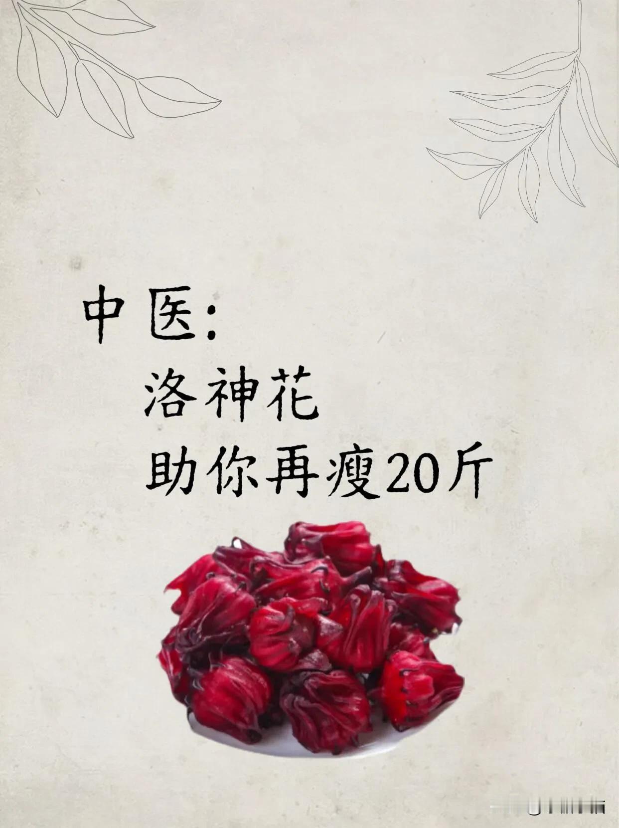 洛神花的掉秤喝法，教会一个算一个！
#下火减肥保健茶# #减脂瘦身的茶# #喝花