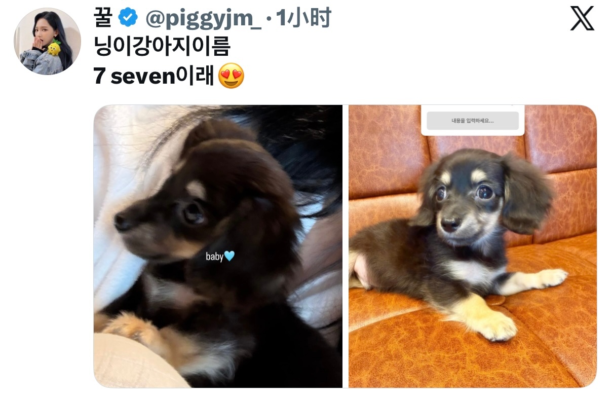 “宁尼说小狗的名字是7seven😍” 