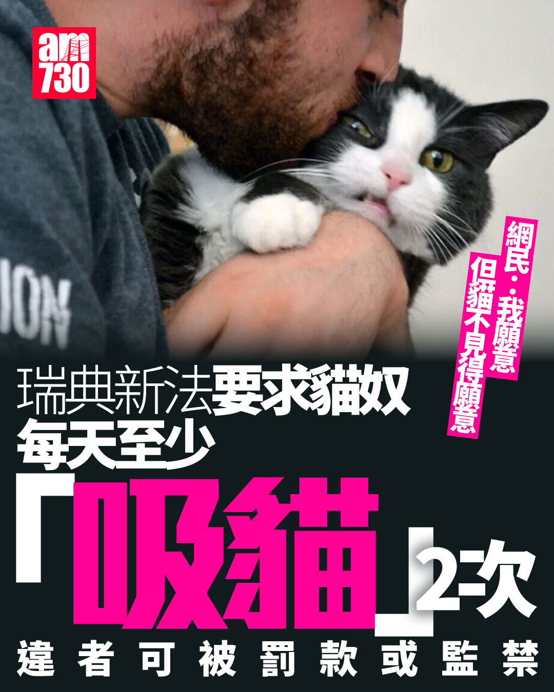 瑞典要求猫奴每天至少吸猫两次🤣瑞典农业委员会根据《动物福利条例》发布最新规定，