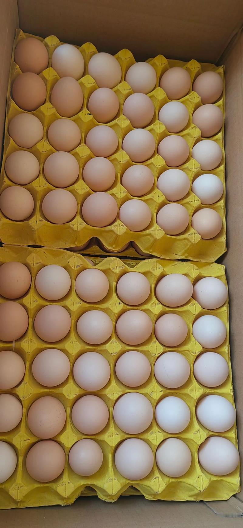 鸡蛋放开吃了同志们，最近一段时间，鸡蛋价格低迷，主产区鸡蛋2.96元/斤，个别地