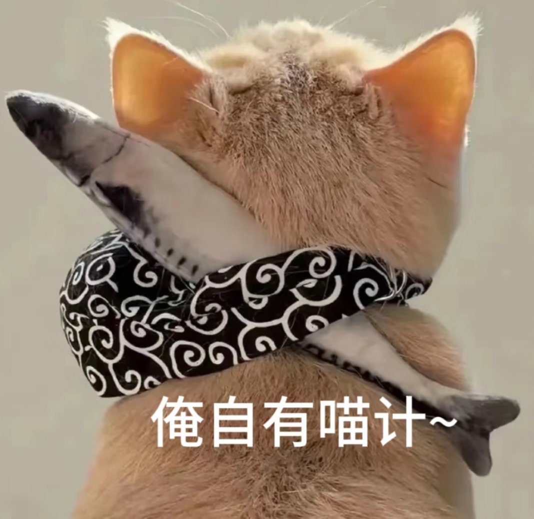 猫咪偷走3斤牛肉老板宠溺赞其大力七八斤的小猫摇摇晃晃叼走了3斤的牛肉 ​​​