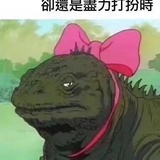 小舞迷爱读汽车
