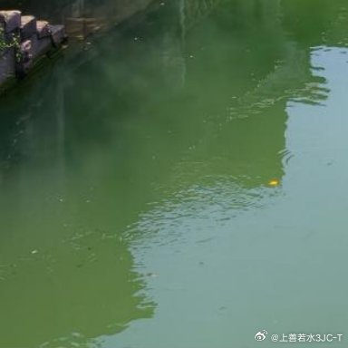 每日一善 向善是一种文明，也是一种光明。善良之举，需要人人拥有，善良之歌，需要人