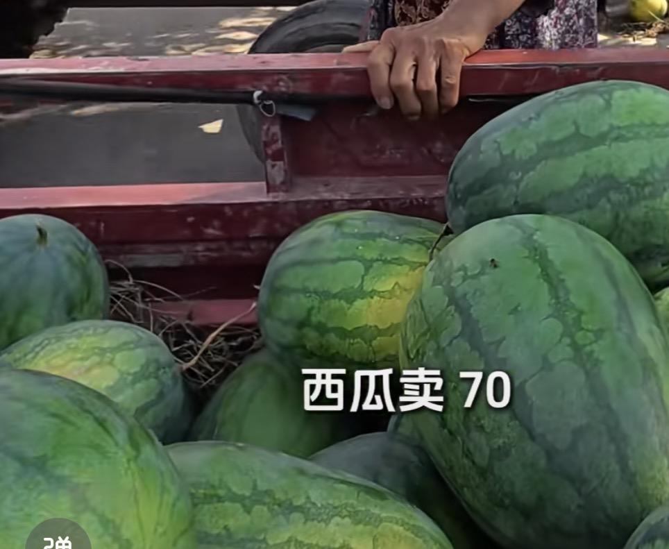 老人一车西瓜卖70元，小伙多给钱反遭拒绝！
河南许昌一位72岁的大娘，拉着一整车