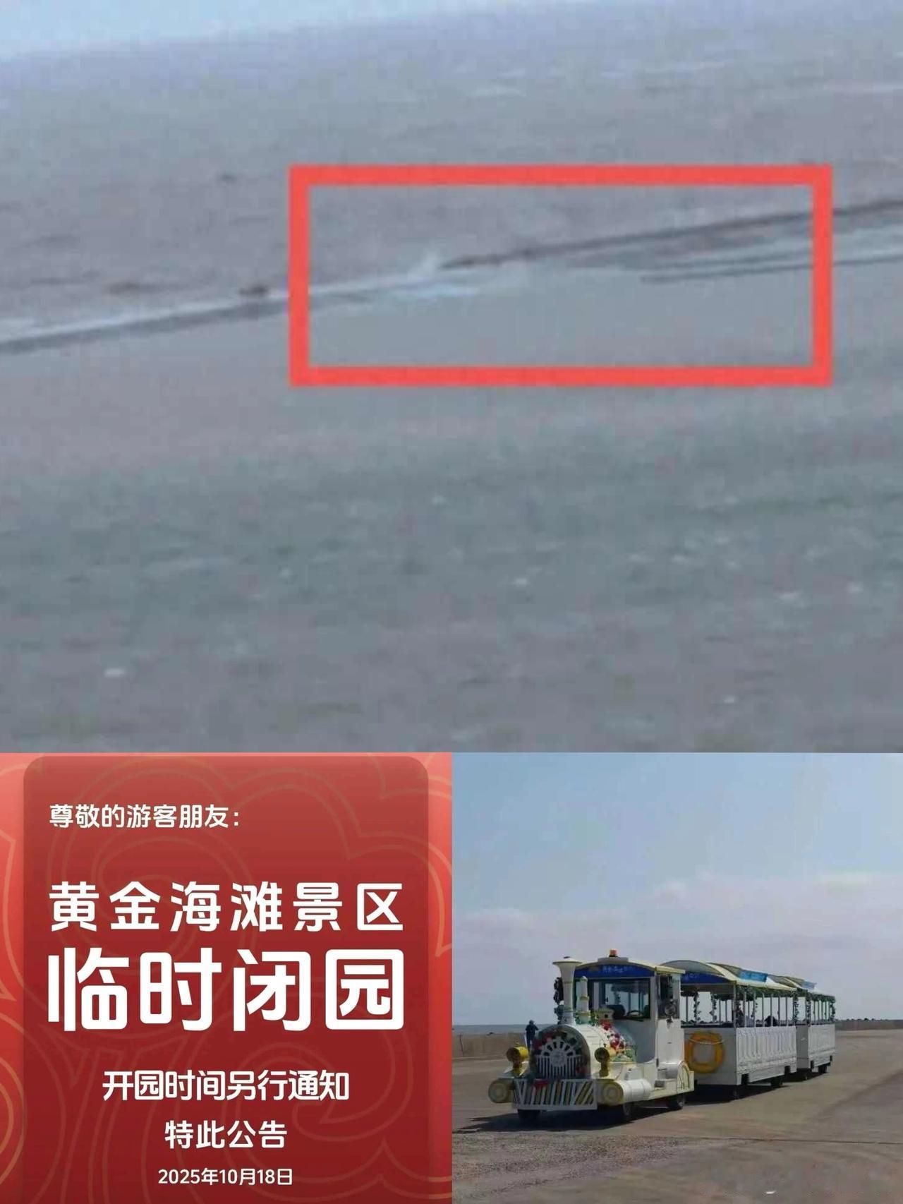 景区观光小火车突然坠海，
据称多人遇难，
3人来自上海？多方回应——

太让人揪