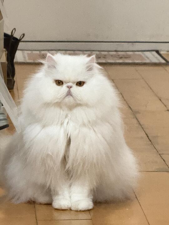 拉链咋还开了😝😝