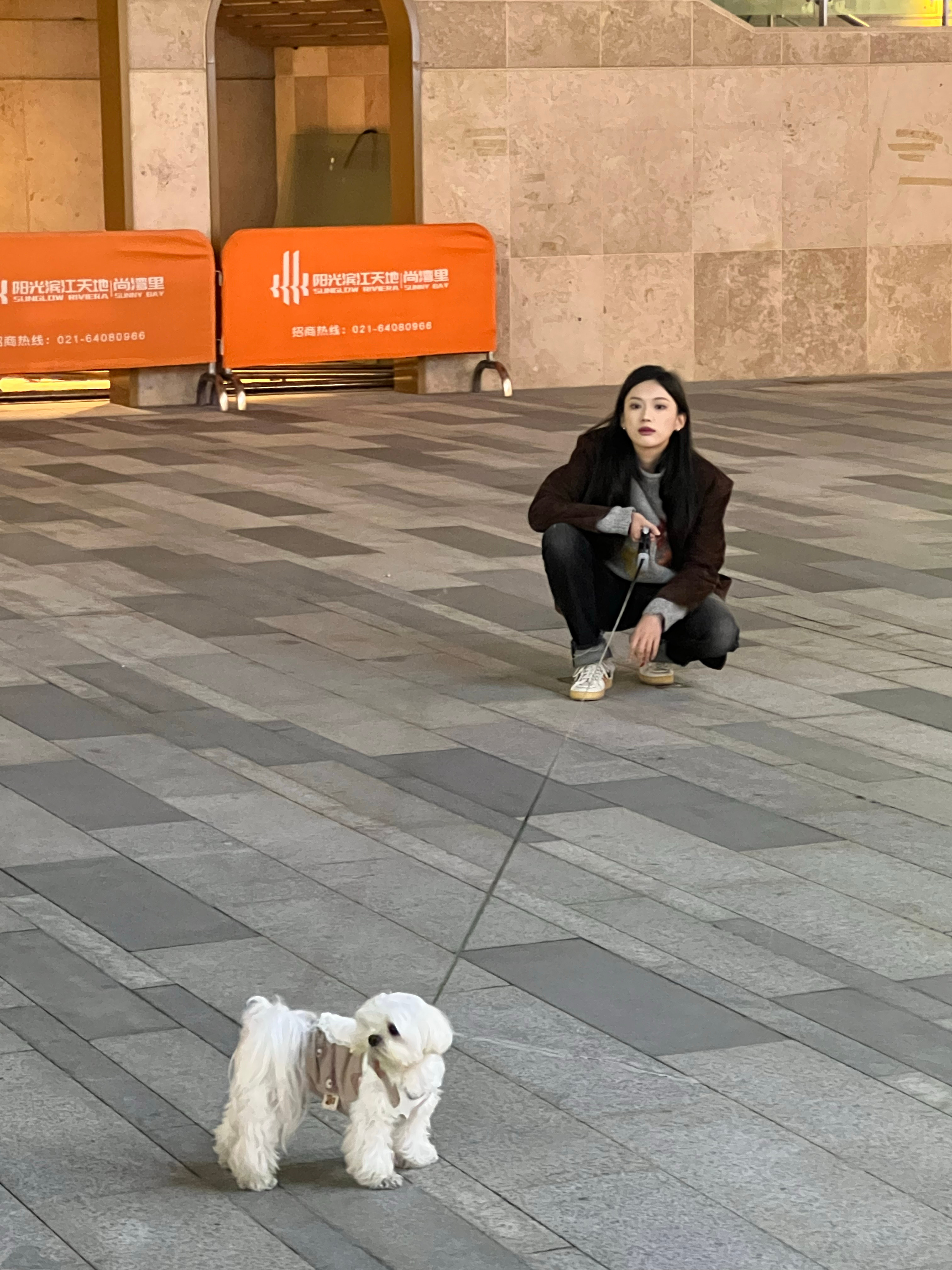 看看谁更倔呗 ​​​