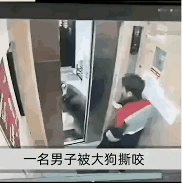 电梯惊魂：未牵绳恶犬扑咬男子事件引众怒

监控画面记录下令人心悸的一幕：一名男子
