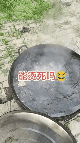 我仔细看了地下长的都是蒲公英，为啥要用开水都烫死？每天挖几颗都是美味的野菜！