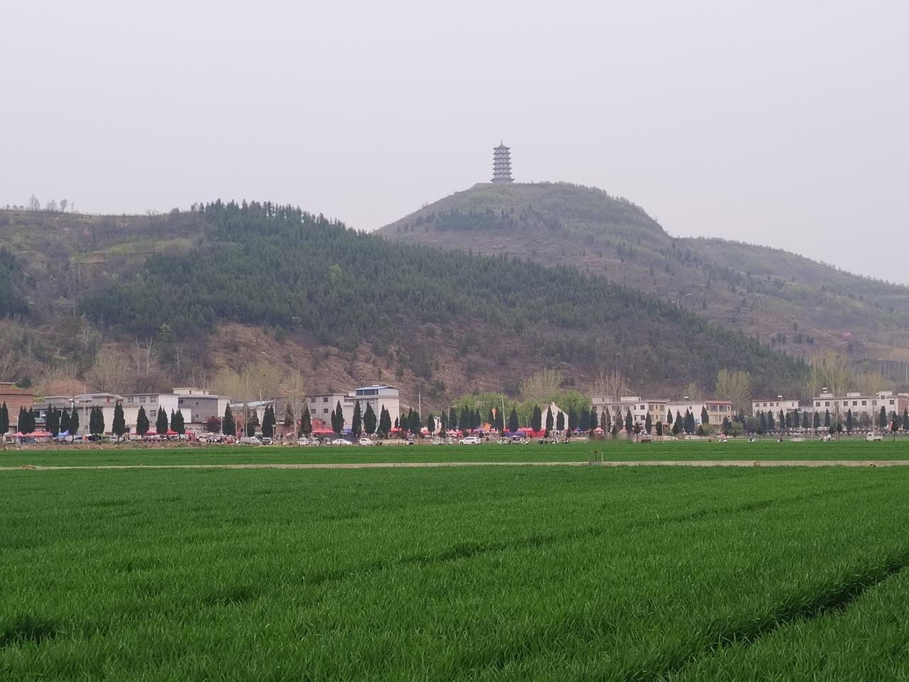 分享一张农村的自然风景