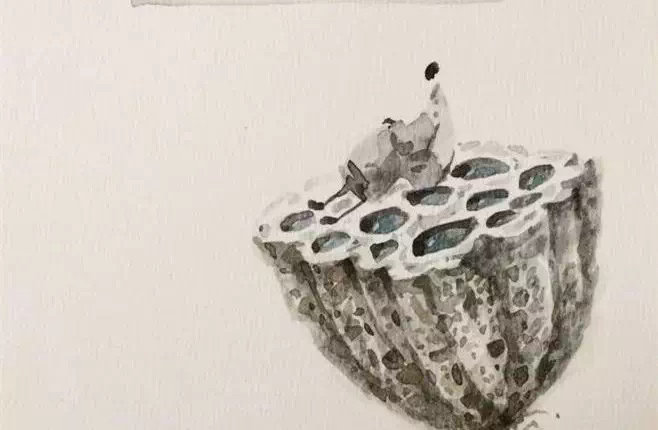 什么叫平等心？看人要平等，做事要平等。平等心就是四无量心，即慈悲喜舍。平等心就是