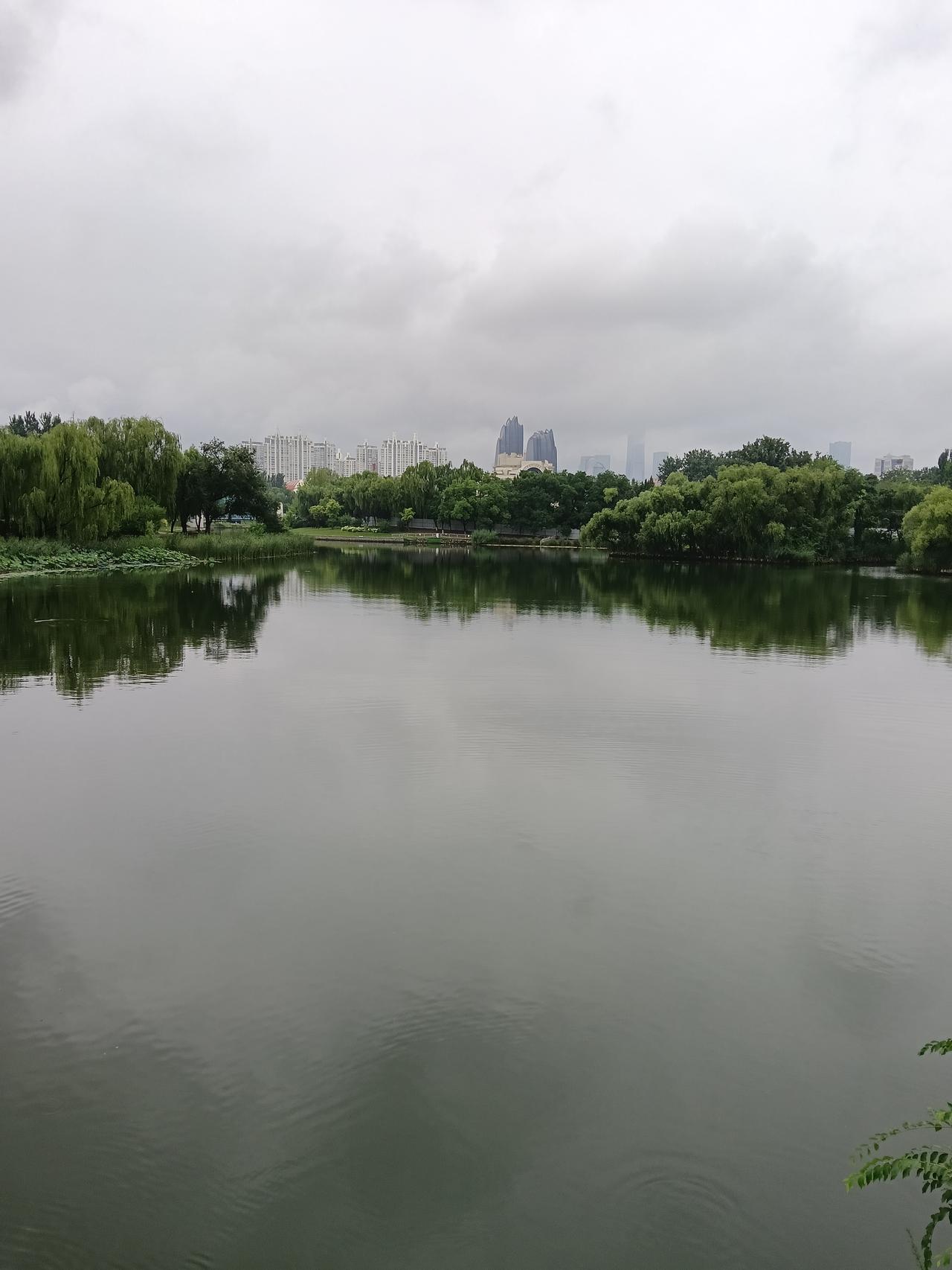 夏日生活打卡季公园湖景，雨天更有特色