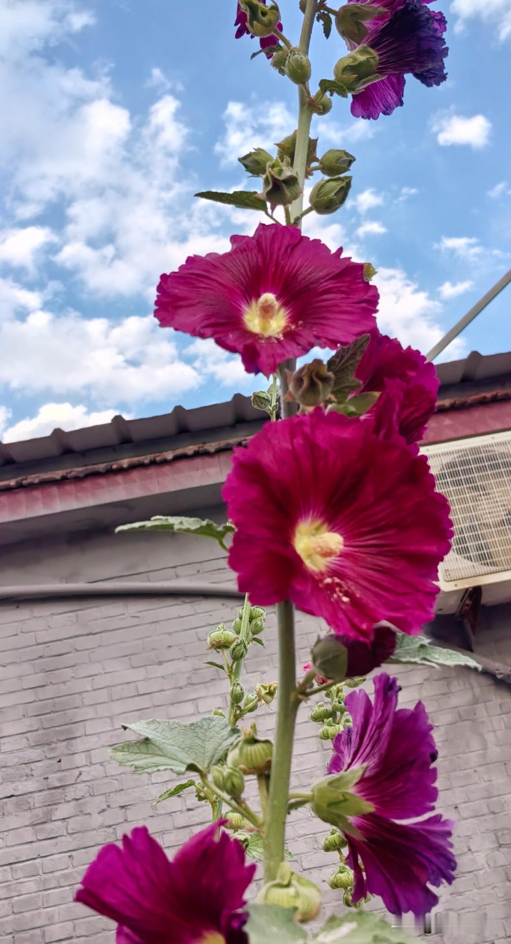 你赞成未婚同居吗我不赞同婚前同居，那样觉得很乱，没有保护自己意识。