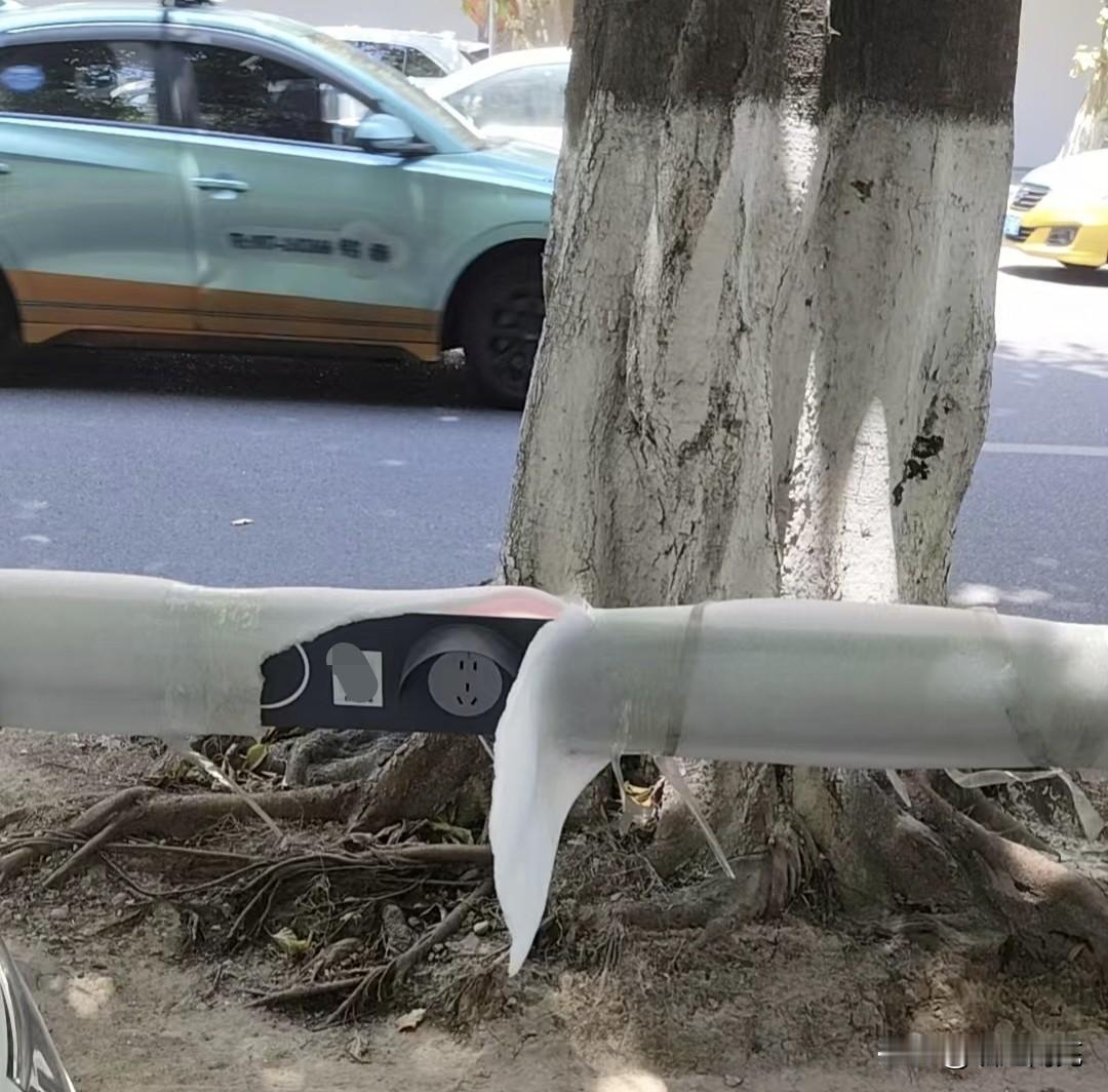 顺庆城区街头安了不少充电桩，定价会是多少呢？
近日，有网友，在顺庆区不少街道看到