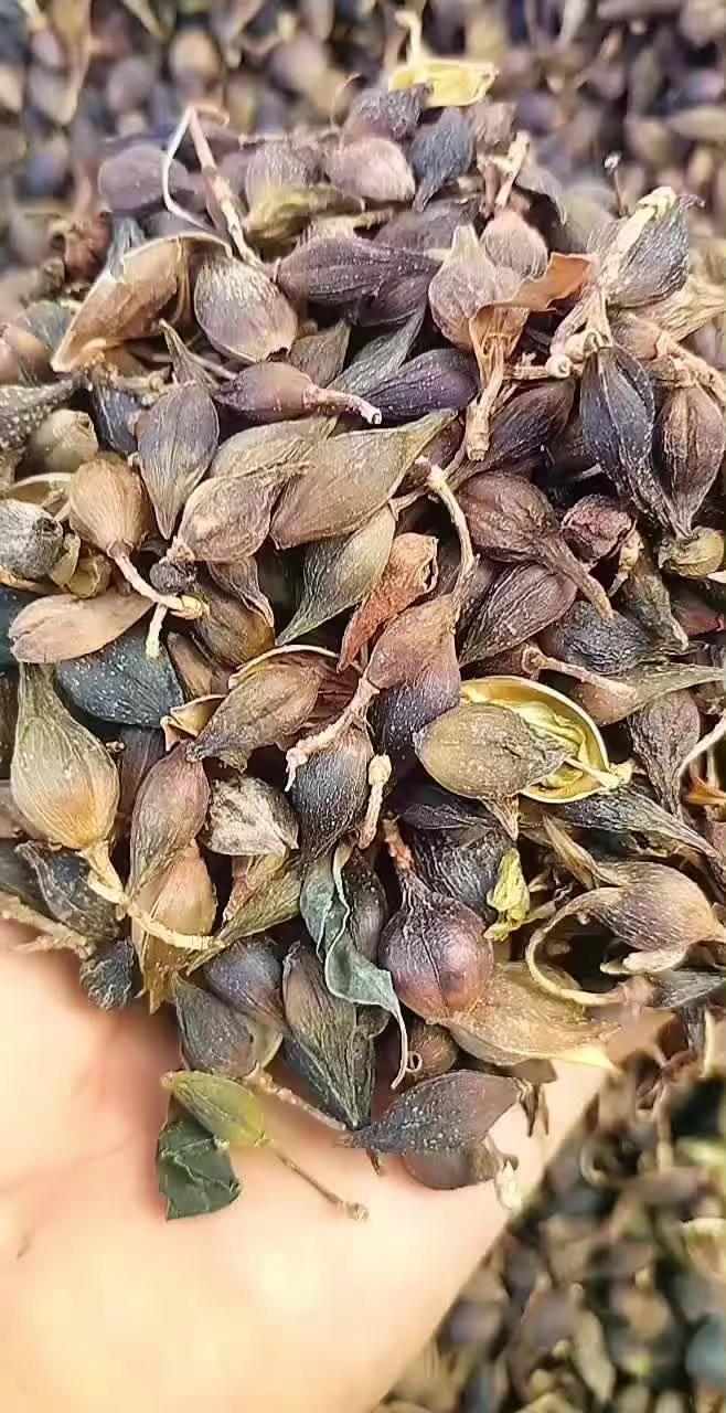 发布了作品 材料