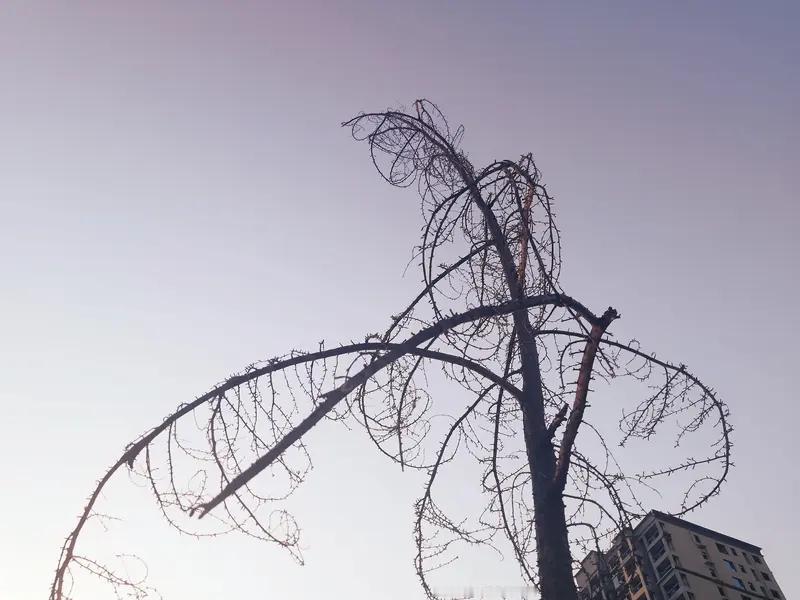 生活里，很多人都被纠结和焦虑困住。白天做事心不在焉，晚上翻来覆去想过往、忧未来，