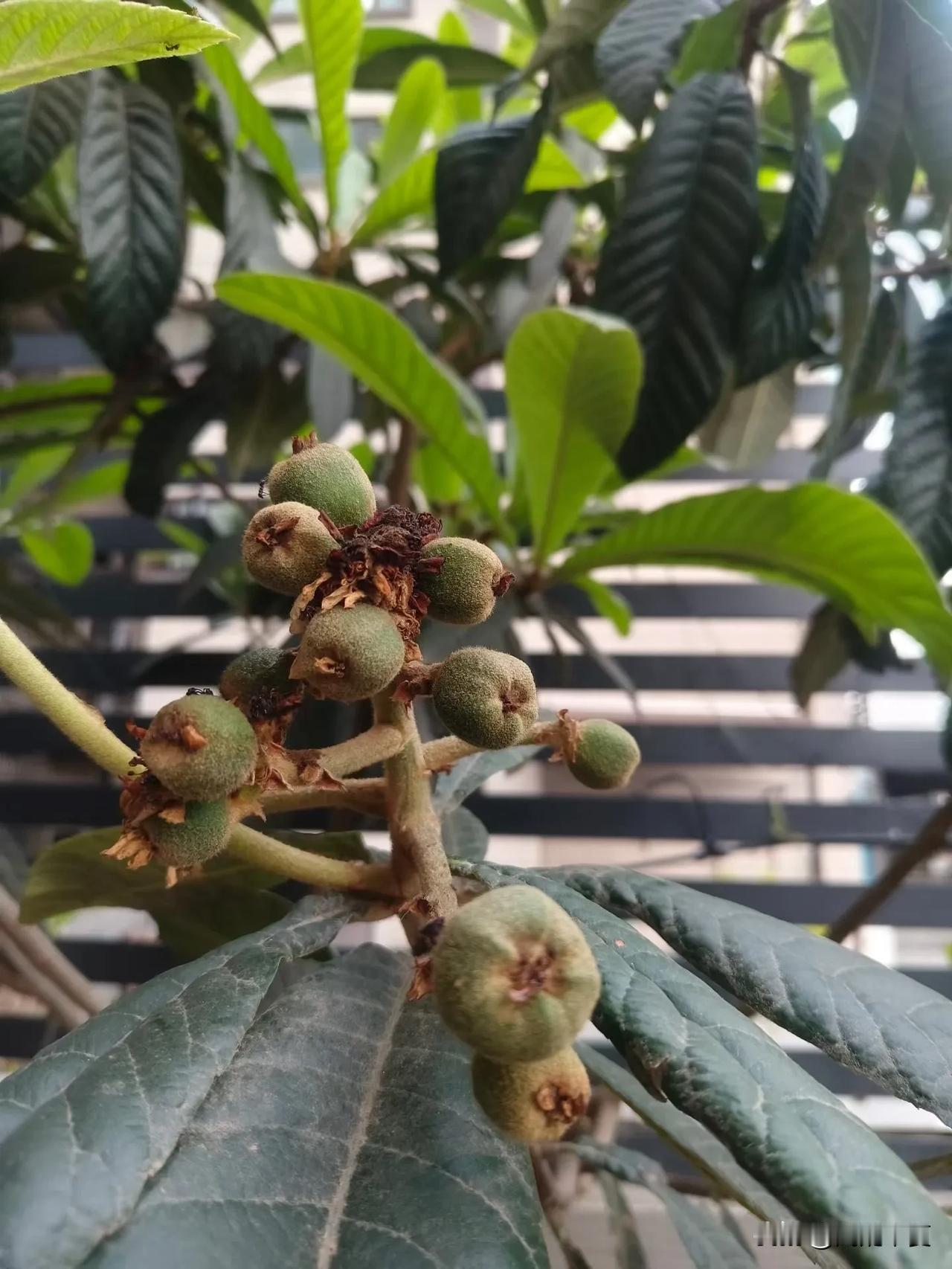 婆媳相处，最好的分寸是“互相尊重，互不越界”。
 
在婚姻里，除了夫妻关系，婆媳