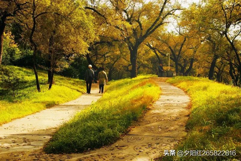 七律，《续暮年》(感怀)
人过六旬鬓际霜，
银龄逐嗳踏春阳。
支边扶农童心润，