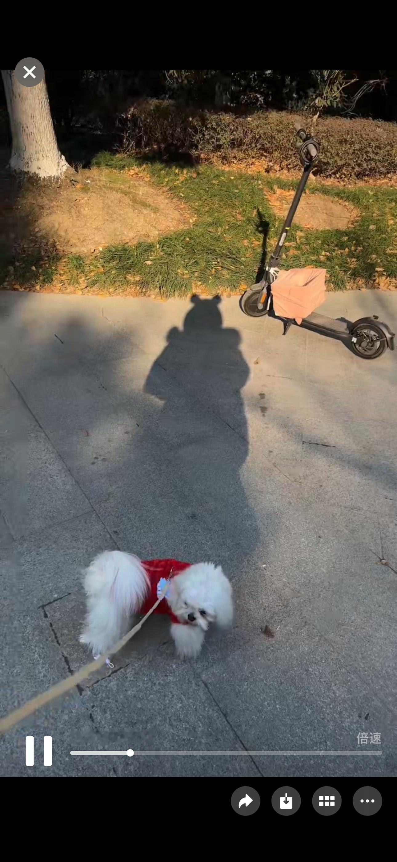 amy真的太可爱了，穿的跟个熊熊一样 