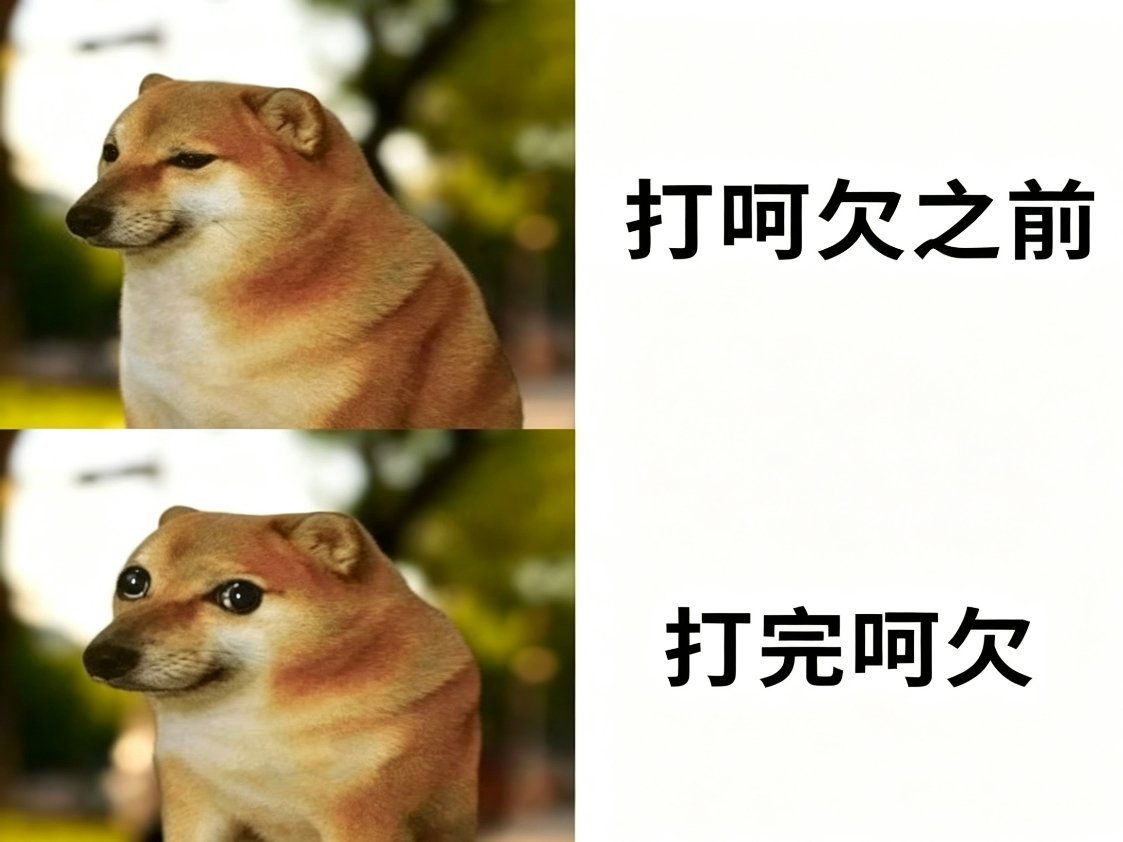 是这样的。meme