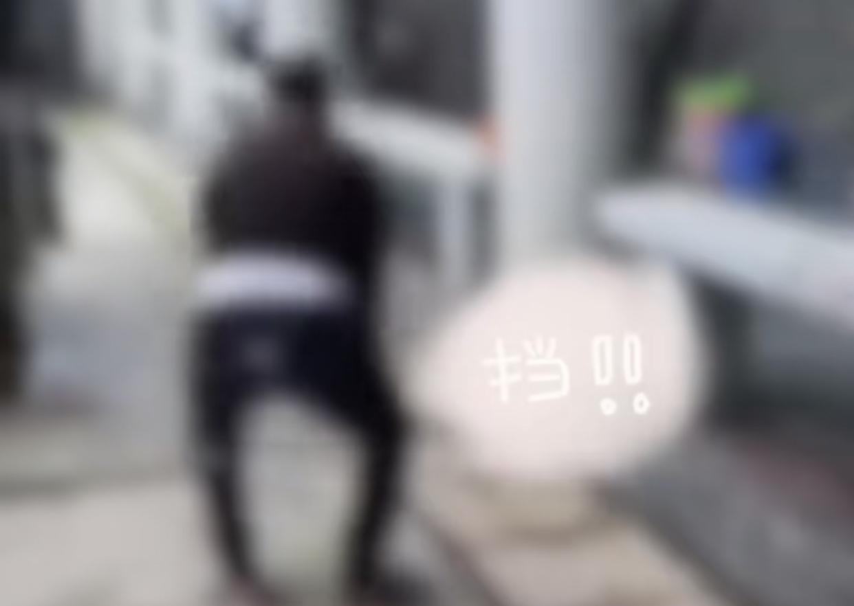 减肥训练营拿房东奶奶养的猫撒气，一次未被发现后，尝到甜头又盯上小猫，女生看不下去