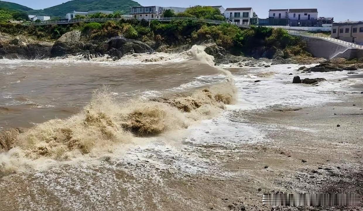台湾紧急喊话大陆
8月7日，台湾紧急喊话大陆，原因面是针对今年第13号台风白海豚