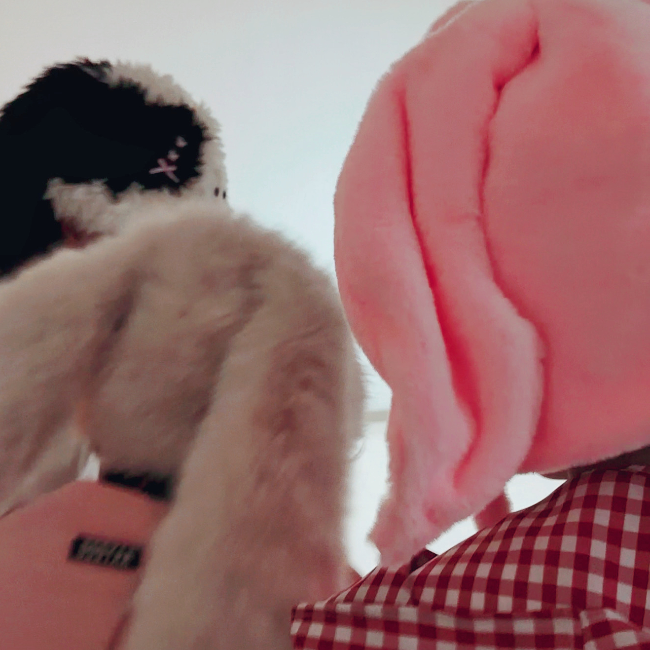 十个勤天种地吧 十个勤天不明显头像🈶cr 小童 