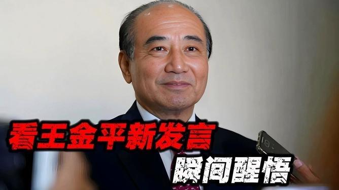 2026年4月17日11时07分国民党最高顾问王金平公开发声，向大陆表达诚挚感谢