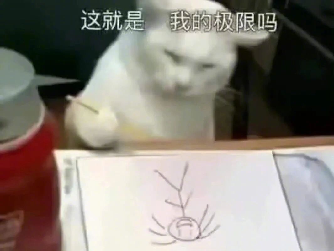 画得很好了，你主人就长那样。 