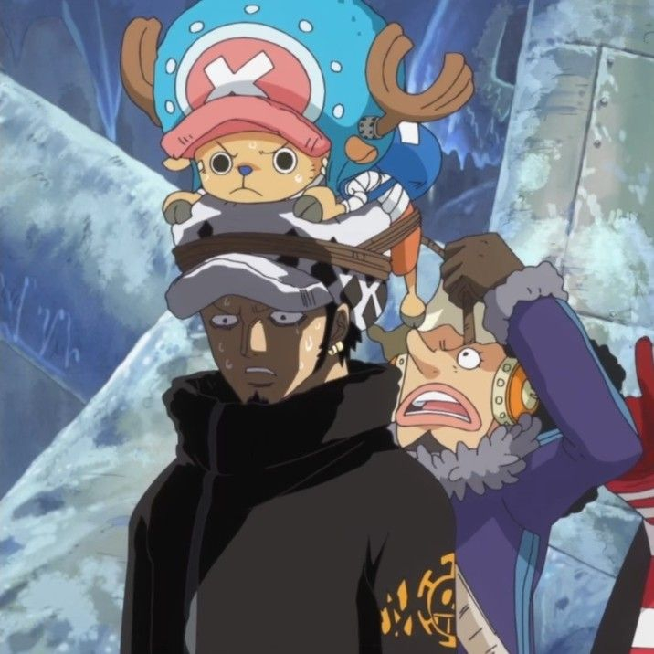 海贼王 海贼王 习惯就好了哈哈哈哈哈哈哈 