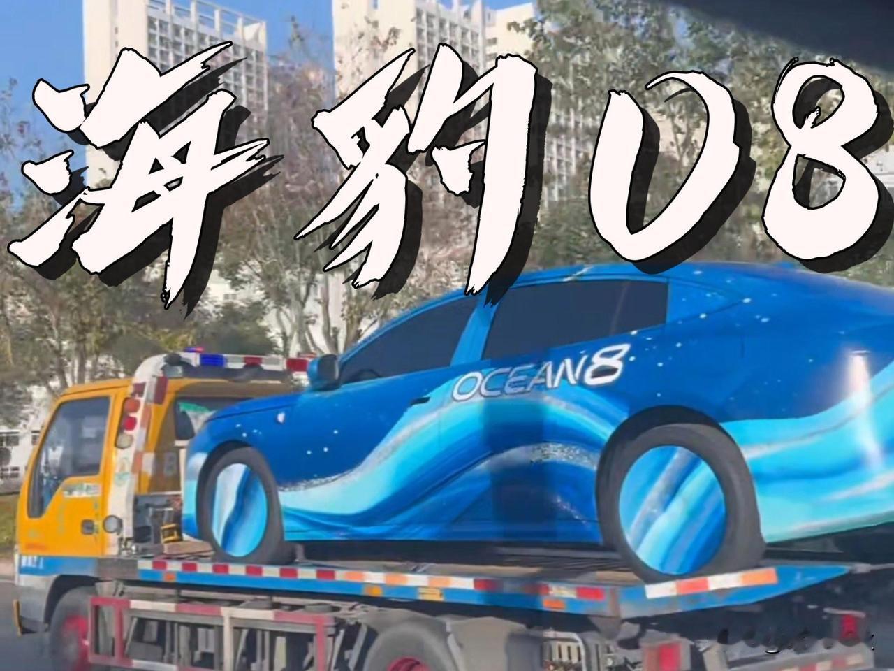 海豹 08 作为比亚迪海洋网的旗舰家轿，其核心“黑科技”主要体现在‌全系标配的闪
