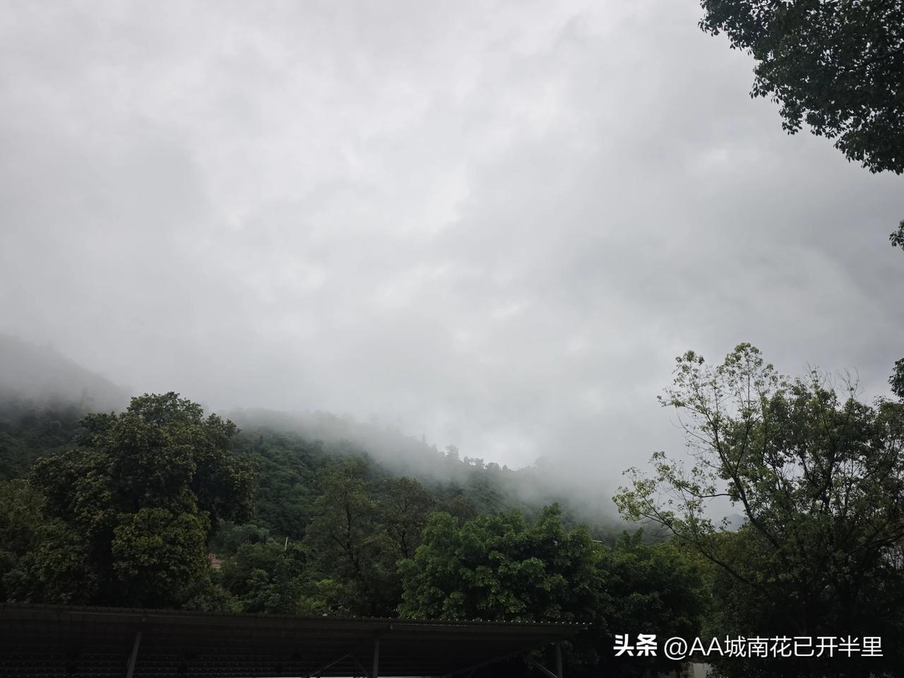 条件还行，年纪偏大，她女生能说自己普通，不是漂亮的不行就是及格线以下了，而且这种
