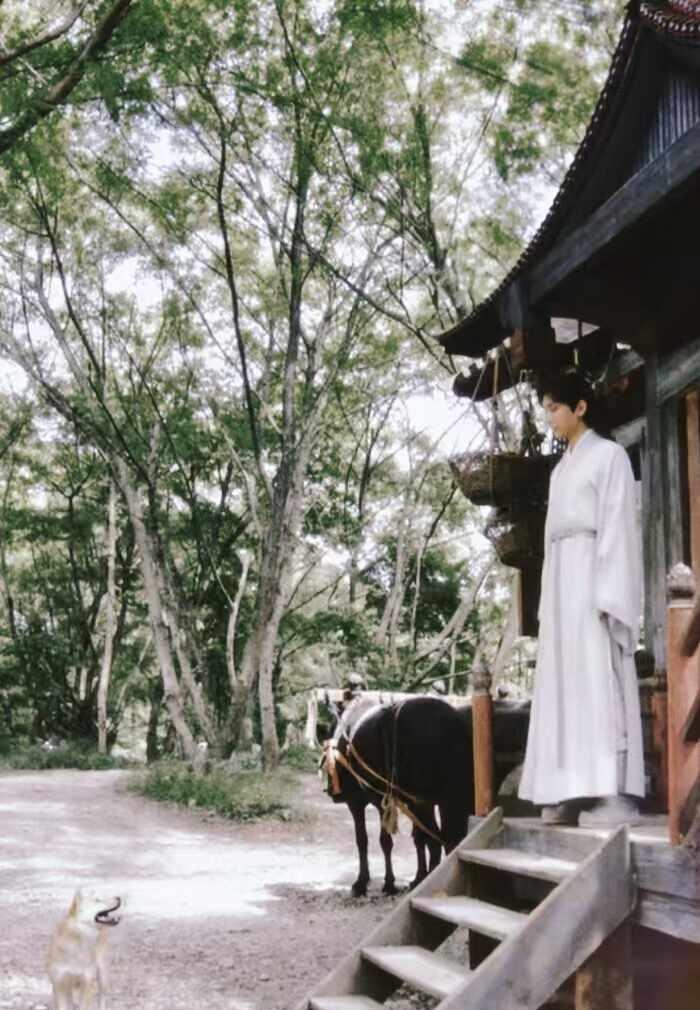 很好奇喜欢李莲花的人都是什么性格
或者年龄段。我说的不是那种只单纯贪图李莲花美貌