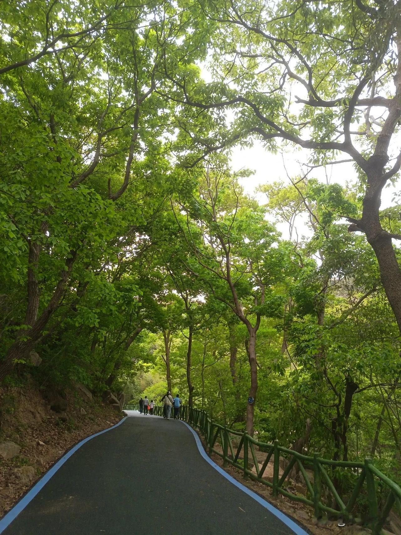 今日打卡云顶竹海，招虎山，丛麻禅院。
晚安( ˘ω˘ )