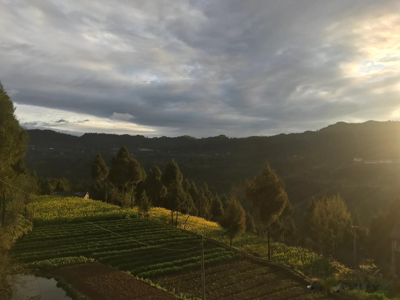 做我这一行
没有大富大贵，也不可能一夜暴富
胜在细水长流，风险系数低
无应酬，不