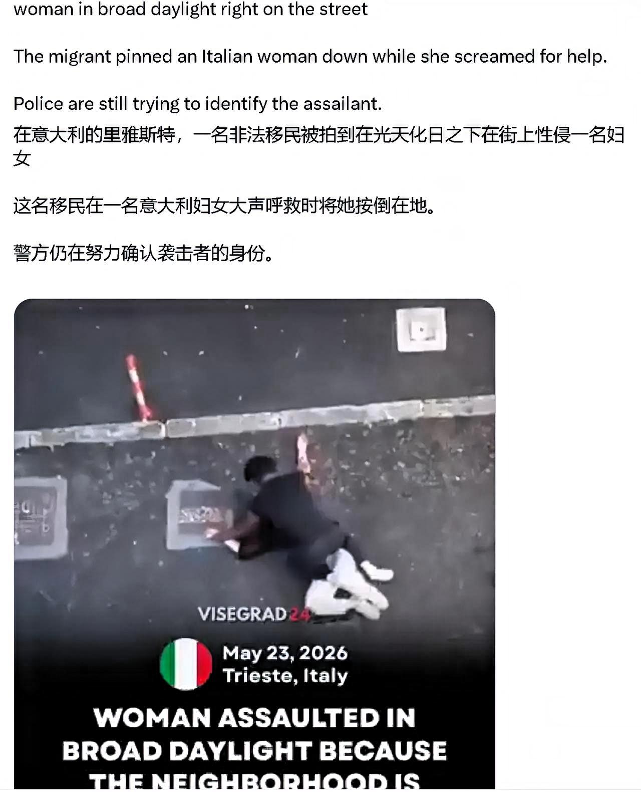 这些移民无法无天到什么地步？光天化日强奸妇女。

在意大利一处公共道路上，一名外