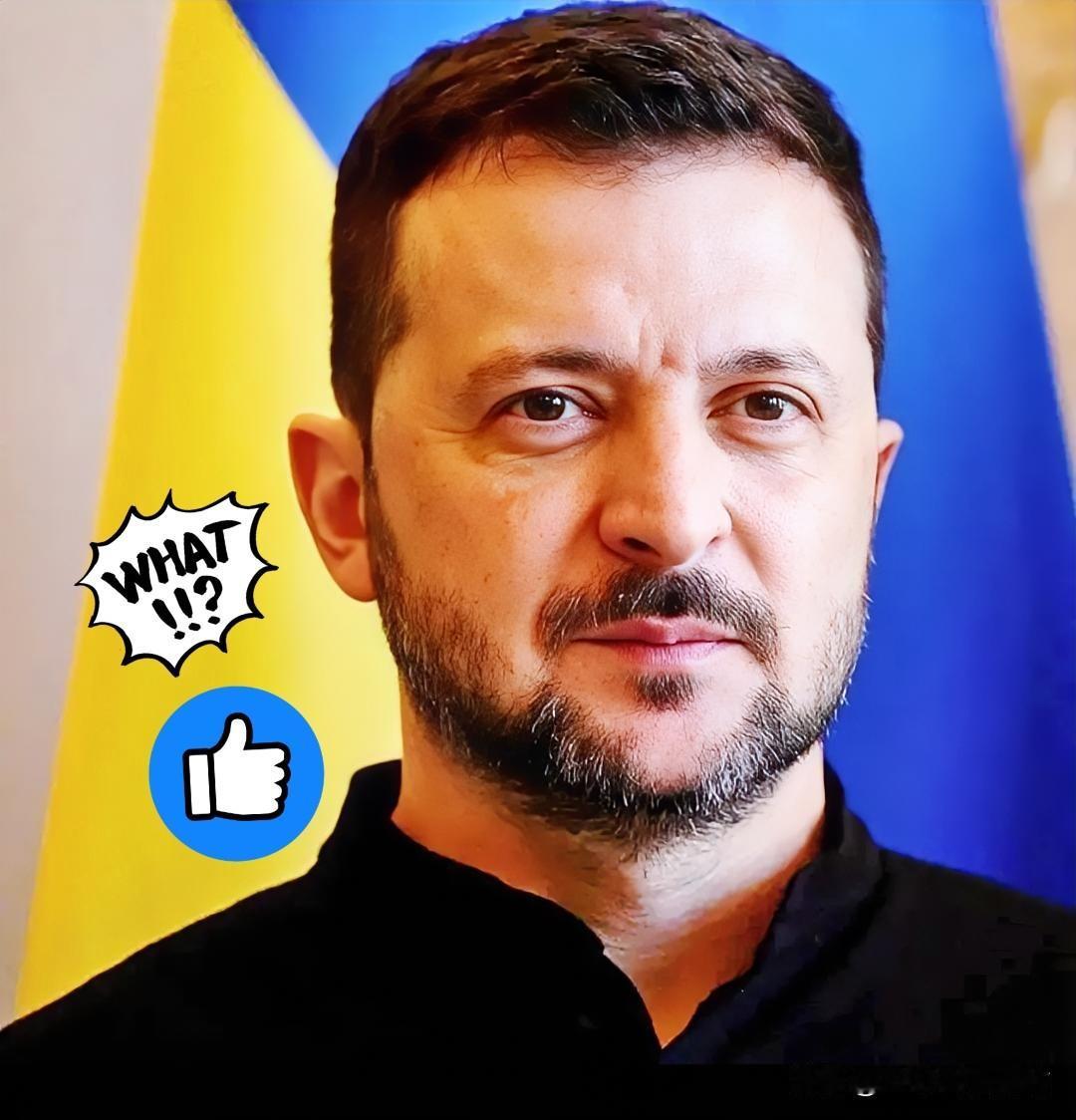 乌克兰消息！
泽连斯基宣布了！

当地时间10日，乌克兰总统泽连斯基正式向美方提