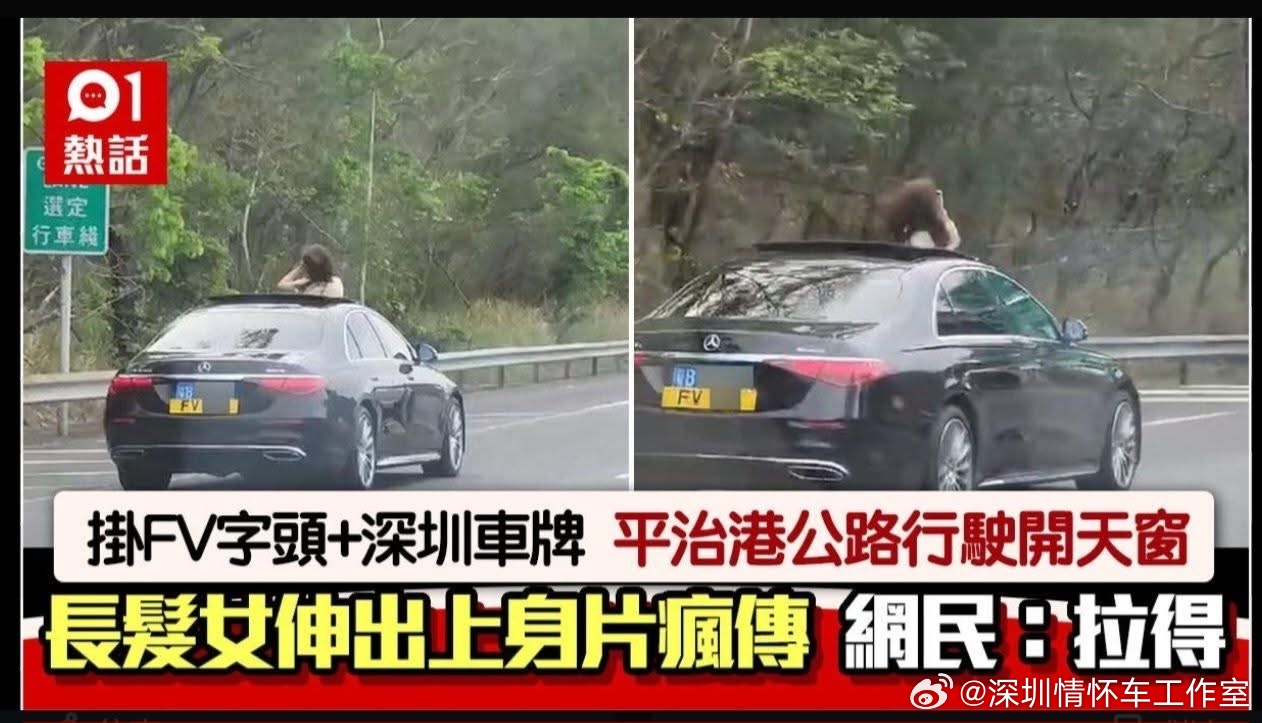 这两天这台粤B牌FV在香港最火
