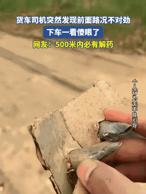两种可能。一种是摆拍，赚流量，这人蠢；一种就是有人故意放的，扎轮胎，这人孬。
若